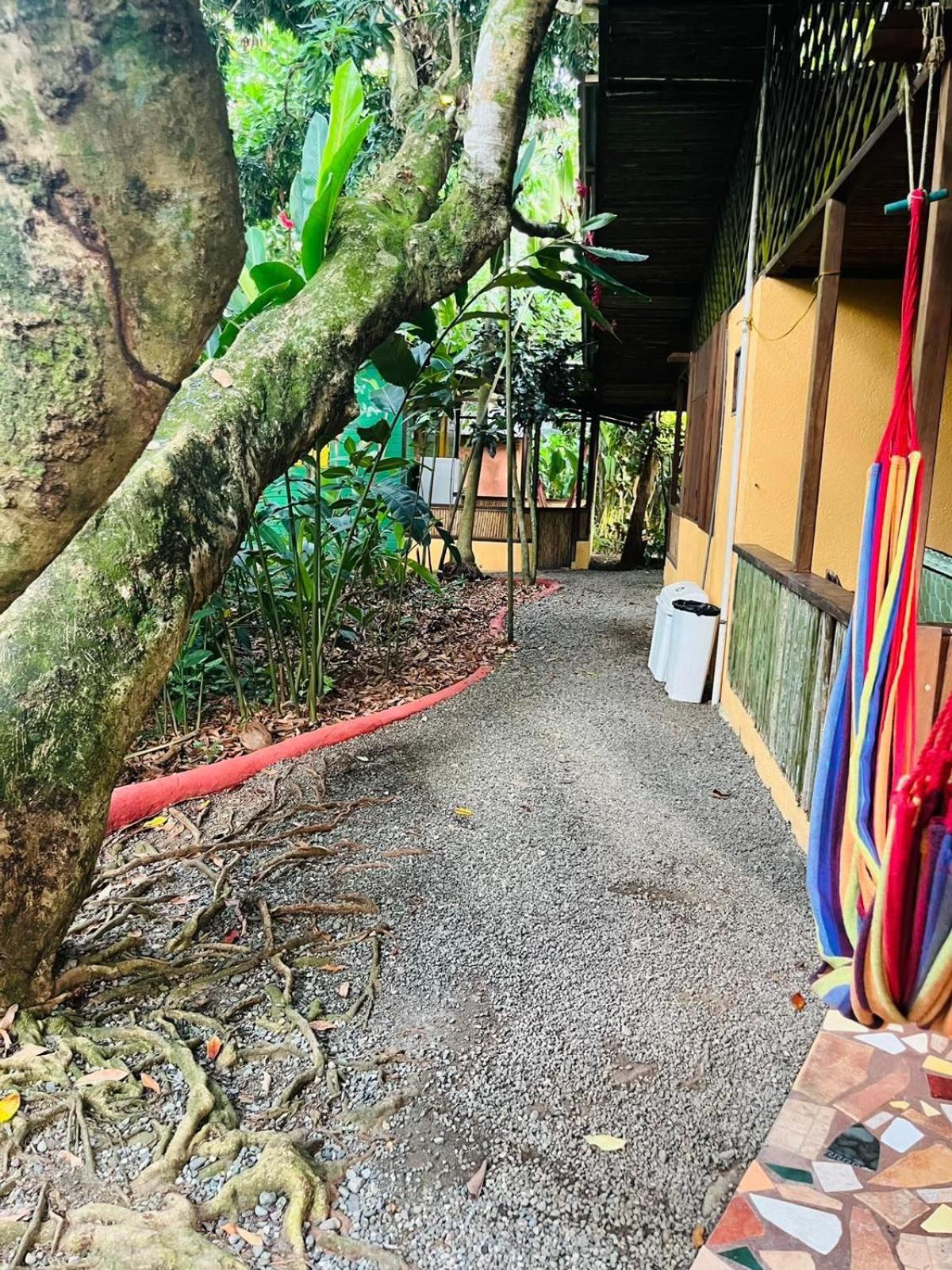 La Casa De Rolando Villa Puerto Viejo de Talamanca Dış mekan fotoğraf
