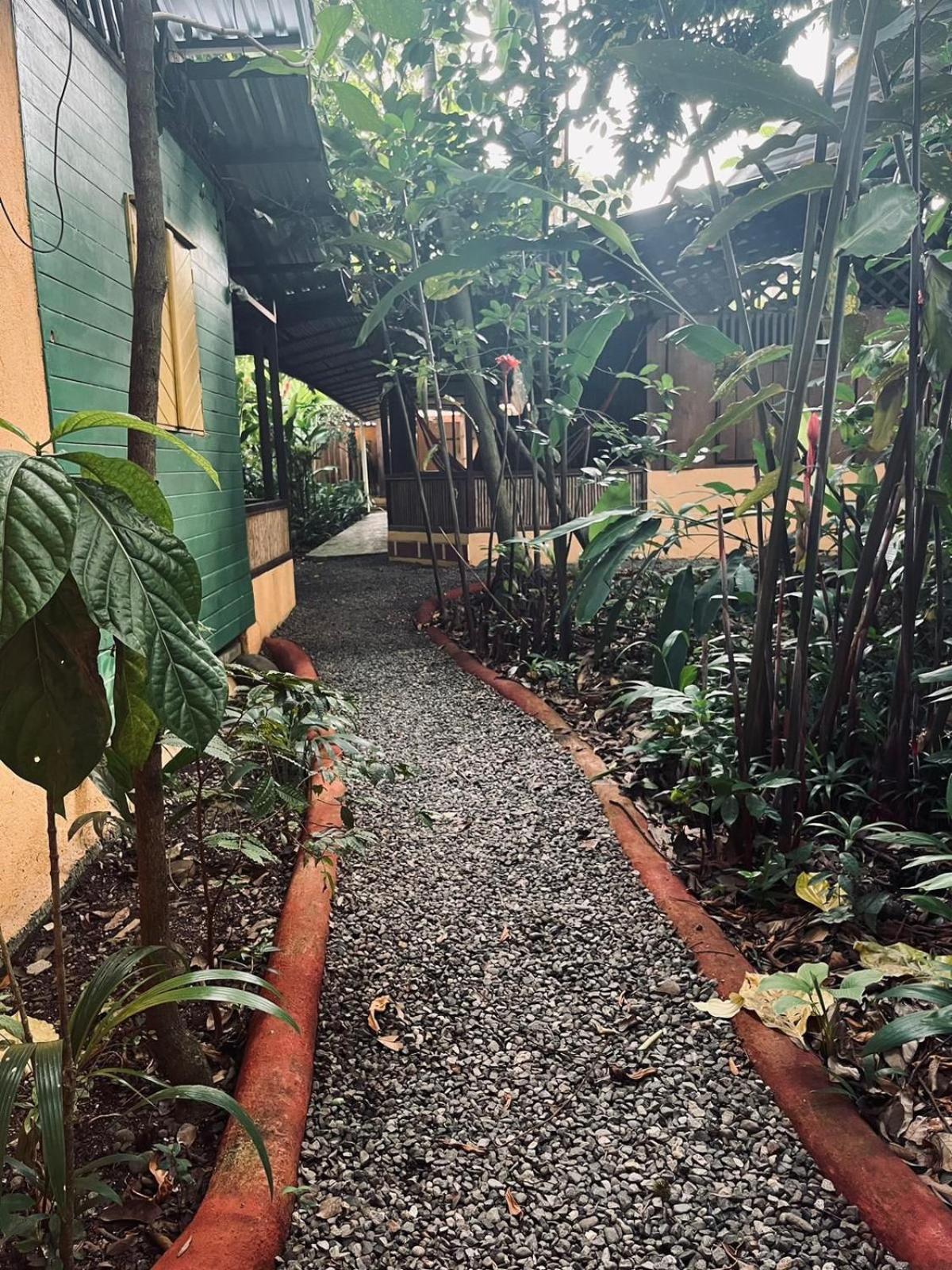 La Casa De Rolando Villa Puerto Viejo de Talamanca Dış mekan fotoğraf