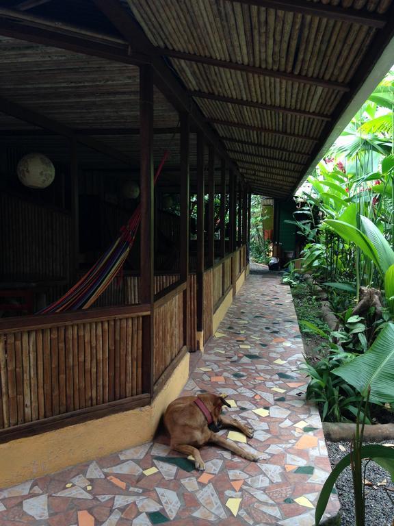 La Casa De Rolando Villa Puerto Viejo de Talamanca Dış mekan fotoğraf