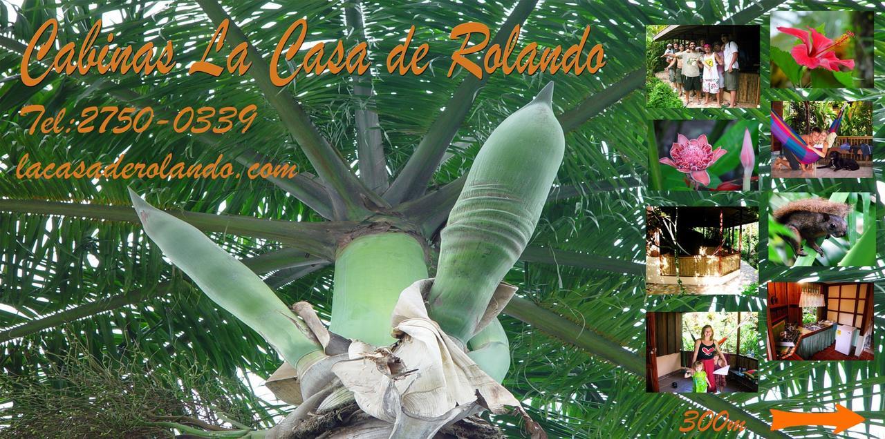 La Casa De Rolando Villa Puerto Viejo de Talamanca Dış mekan fotoğraf